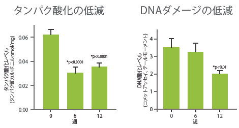 エンゾジノールのタンパク酸化の低減グラフ　及び　DNAダメージ低減グラフ